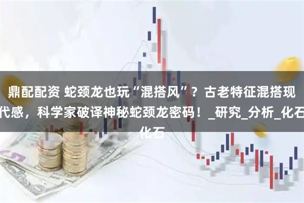 鼎配配资 蛇颈龙也玩“混搭风”？古老特征混搭现代感，科学家破译神秘蛇颈龙密码！_研究_分析_化石